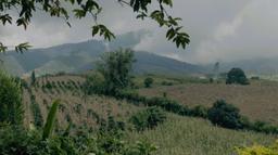 Hillside landscape in Bukidnon