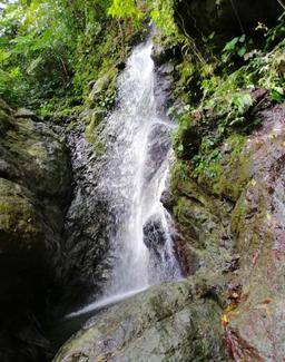 One of the waterfalls within the Sacred Forest site